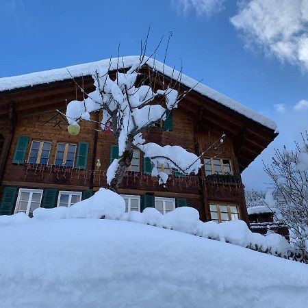 Chalet Schiltwald Innerwengen Eksteriør billede
