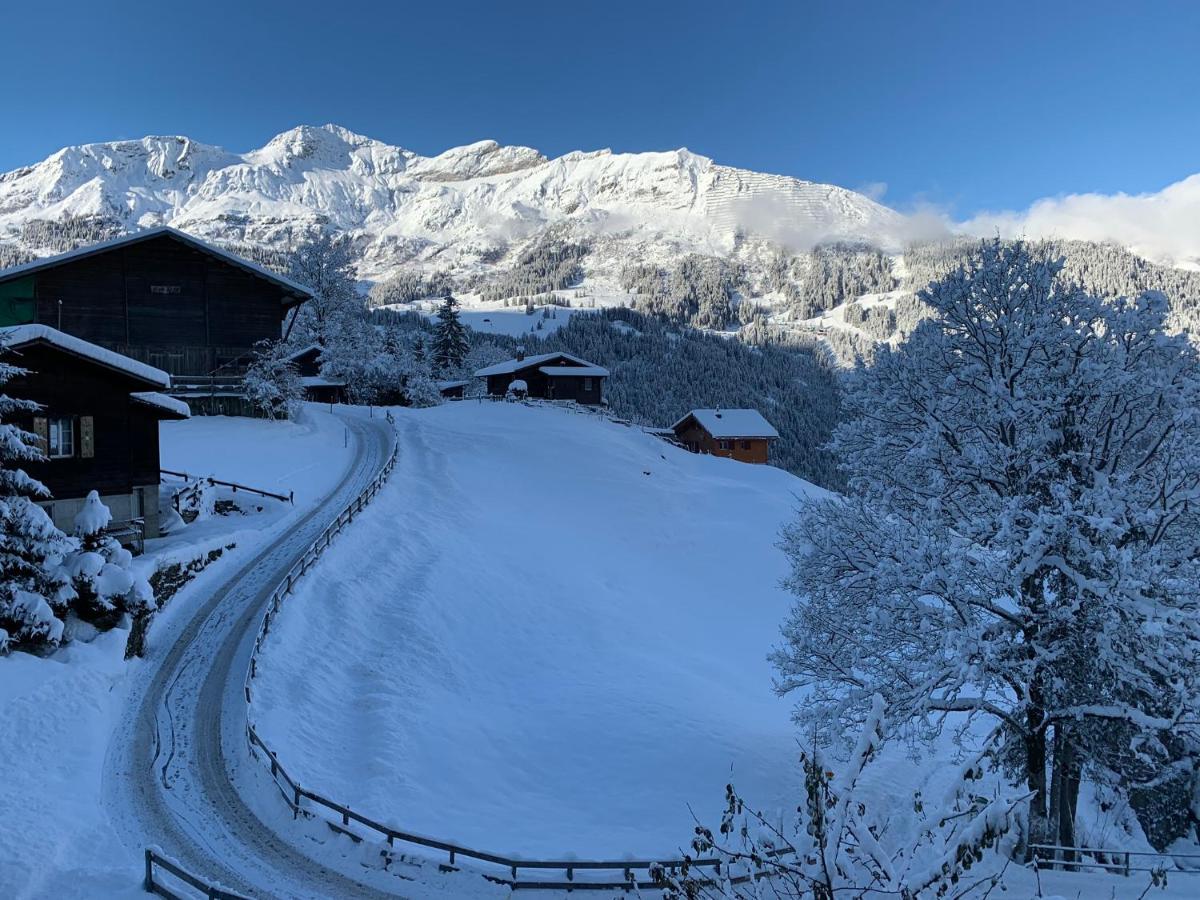 Chalet Schiltwald Innerwengen Eksteriør billede