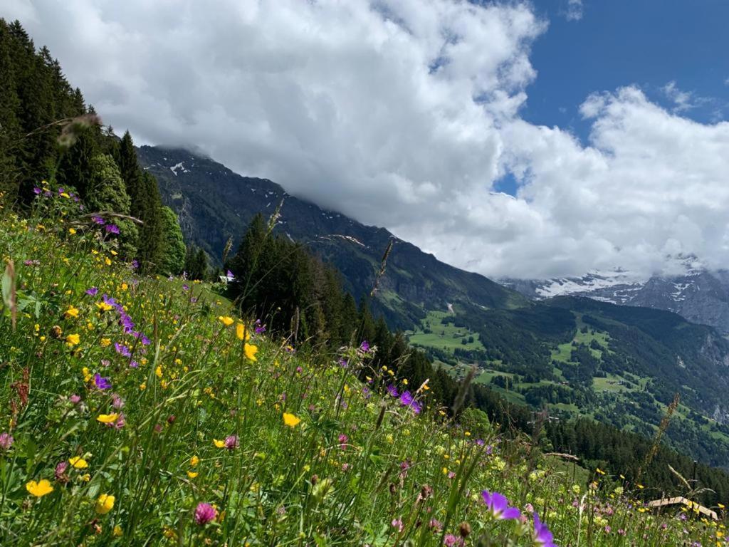 Chalet Schiltwald Innerwengen Eksteriør billede