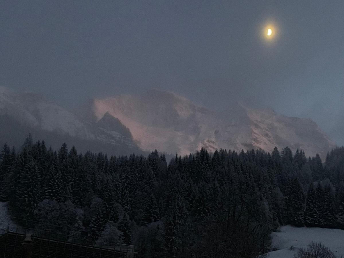 Chalet Schiltwald Innerwengen Eksteriør billede