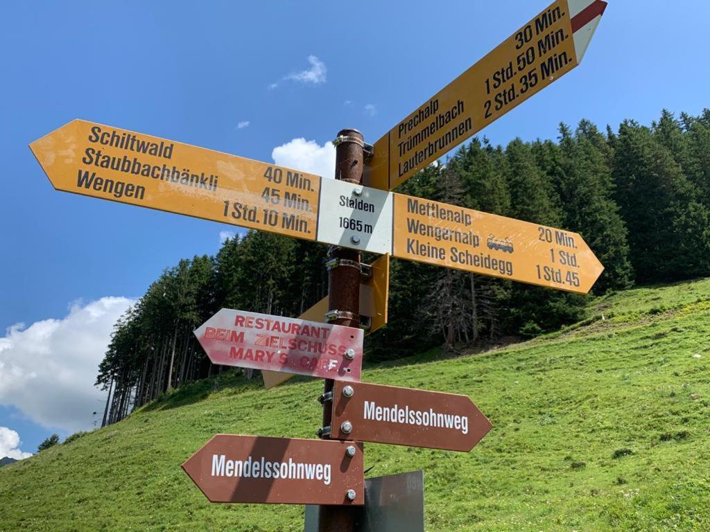 Chalet Schiltwald Innerwengen Eksteriør billede