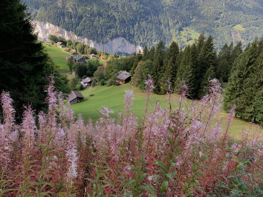 Chalet Schiltwald Innerwengen Eksteriør billede