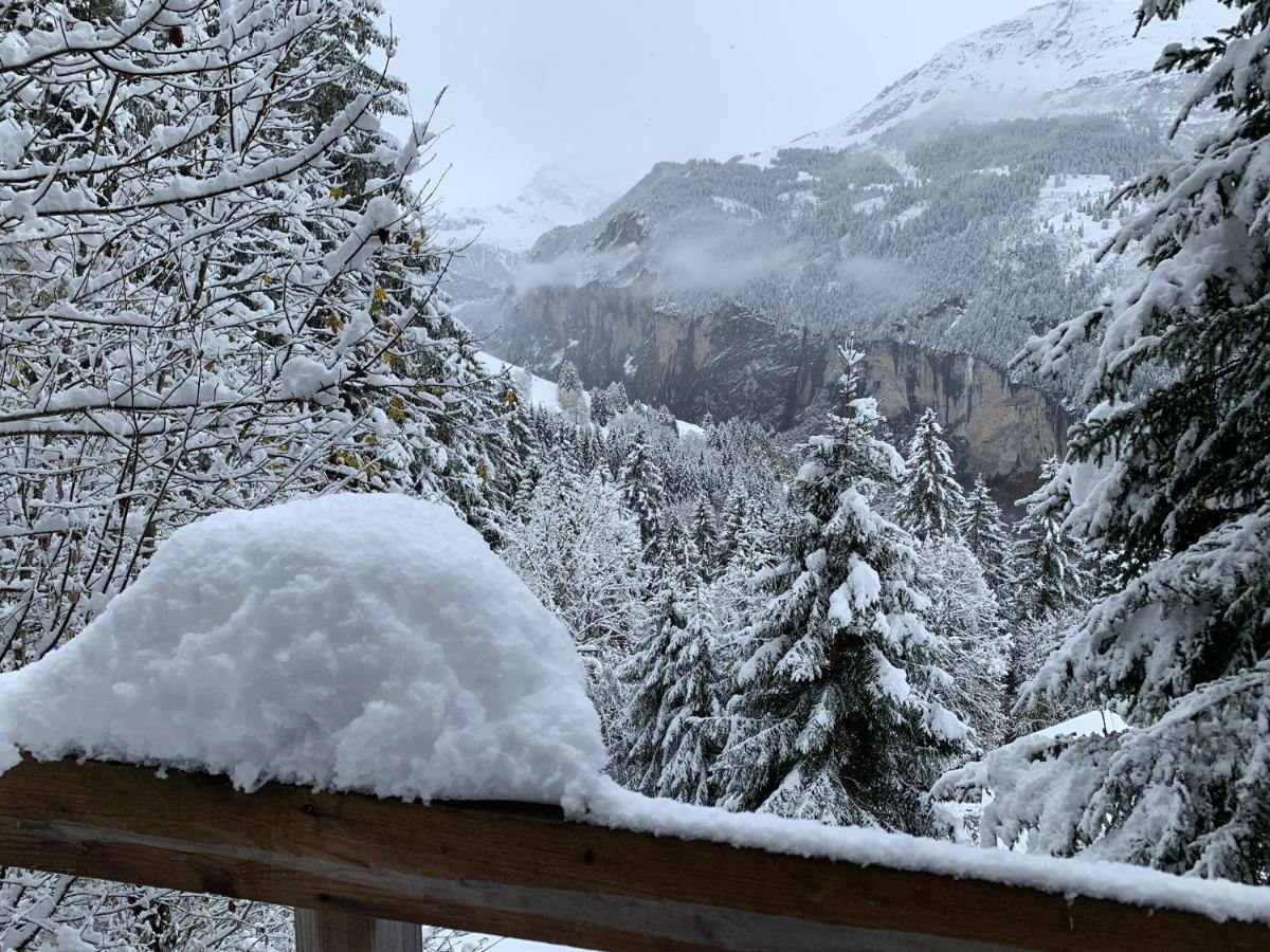 Chalet Schiltwald Innerwengen Eksteriør billede
