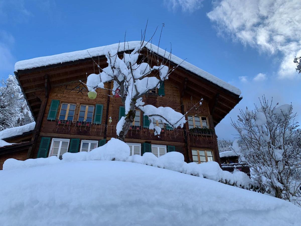 Chalet Schiltwald Innerwengen Eksteriør billede
