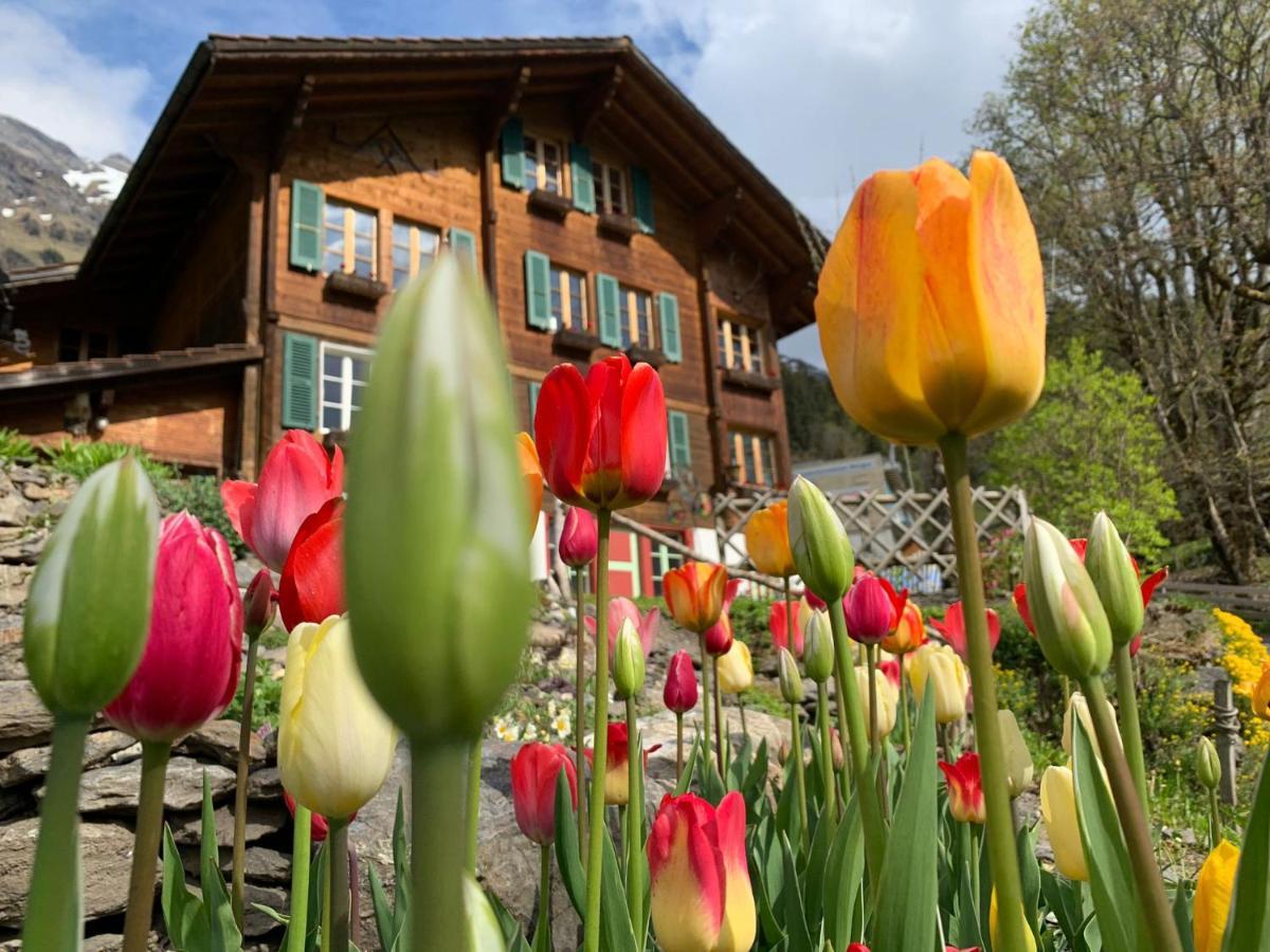 Chalet Schiltwald Innerwengen Eksteriør billede